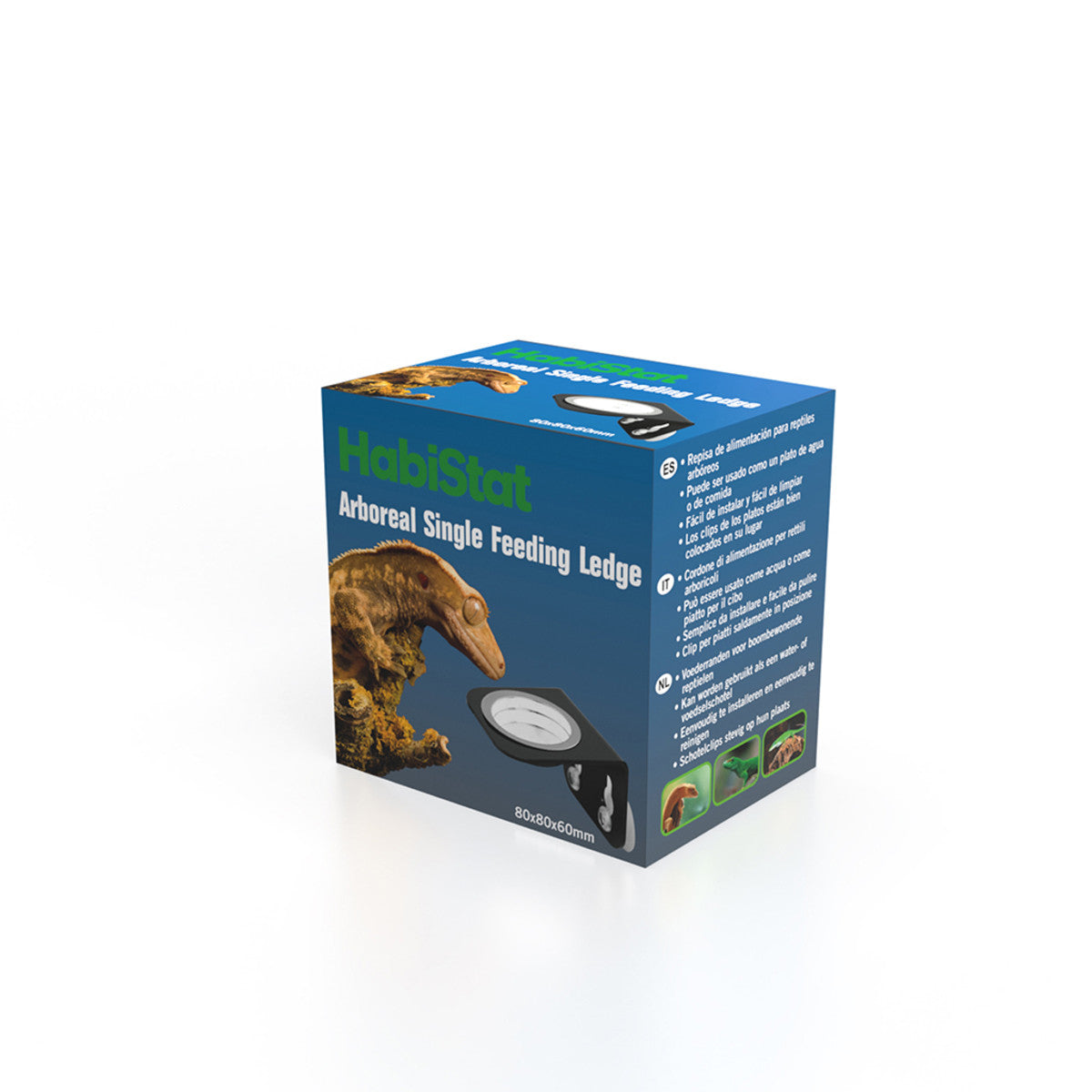 Habistat Arboreal Feeding Ledge for Aquariums in UK