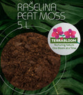 Terrabloom Peat for Aquariums - UK