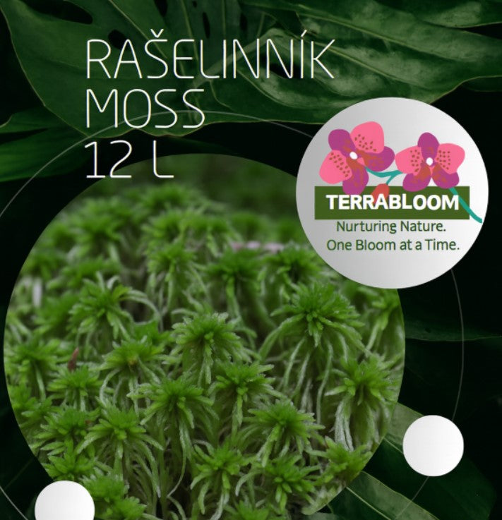 Premium Terrabloom Peat Moss for Aquariums in UK
