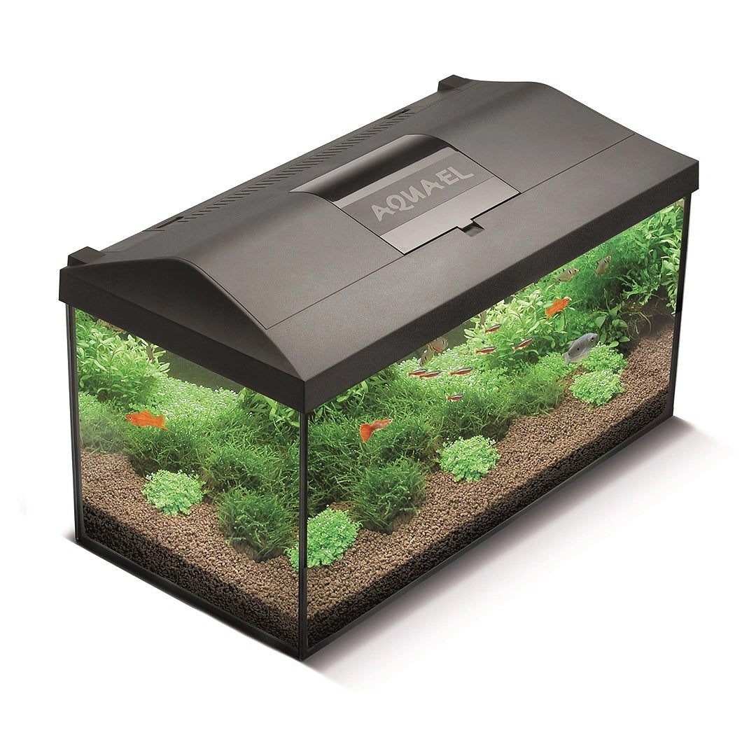 Aquael LEDDY D&N 2.0 Aquarium Set 40L - Black — tropical fish for sale UK