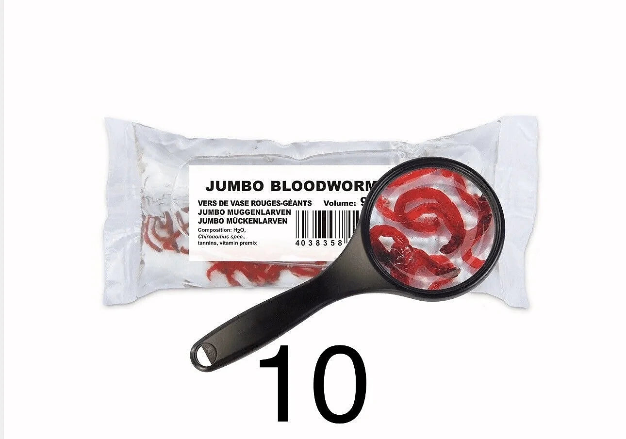 Best Food for Tropical Fish – 90ml Jumbo Bloodworms | UK — Live Food
