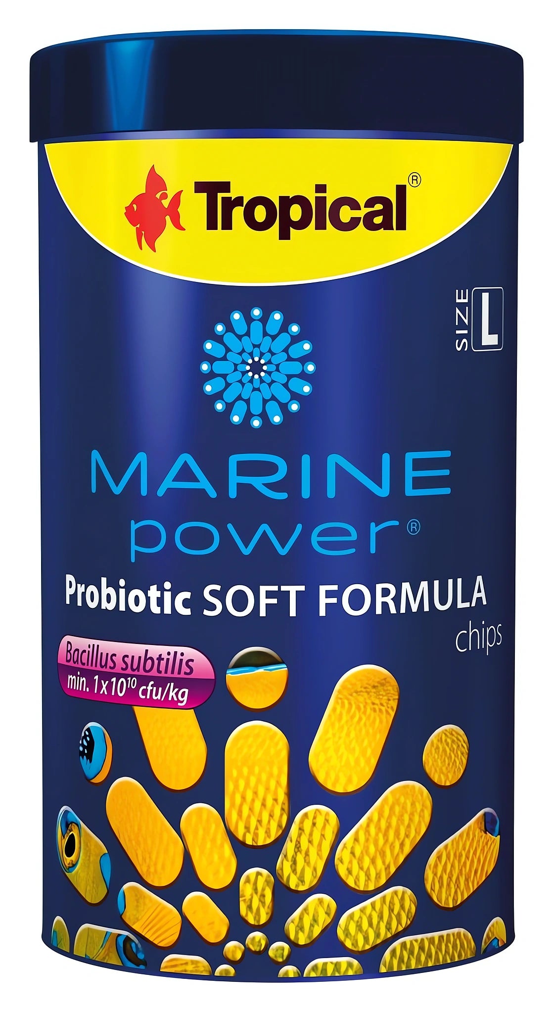 coral food — Dry Food for sale UK