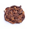 Dendrobaena Worms — Vivarium Animal Food for sale UK