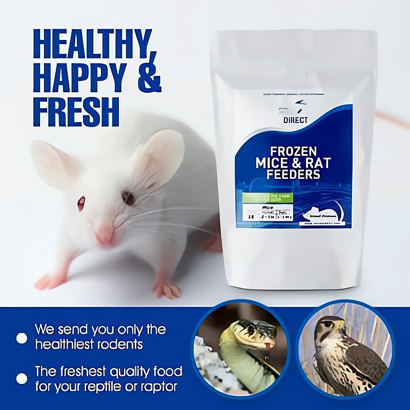 frozen rat — Vivarium Animal Food for sale UK