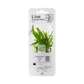 Tropica Microsorum pteropus 'Narrow' Potted Aquarium Plant for planted aquarium