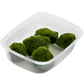 Tropica Aegagropila linnaei Aquarium Moss Portion for planted aquarium