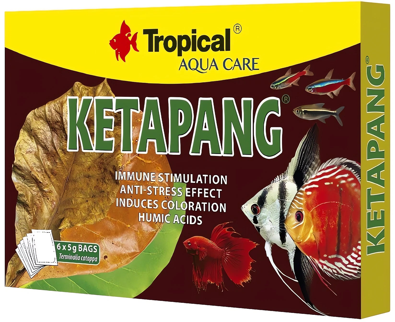 Indian Almond Leaves — Aqua Care for sale UK