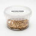live reptile food — Vivarium Animal Food for sale UK