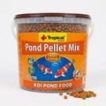 pond fish food — Dry Food for sale UK