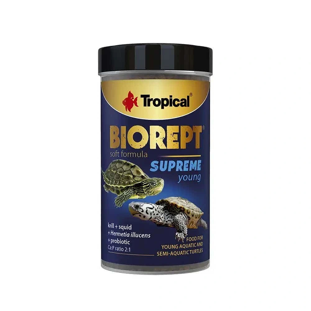 reptile food UK — tropical fish for sale UK