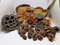 Set of nature products dried fish food 180g with Bakuli, Casuarina, Badam, Arjuna, Lotus, Mahagon and Jacaranda