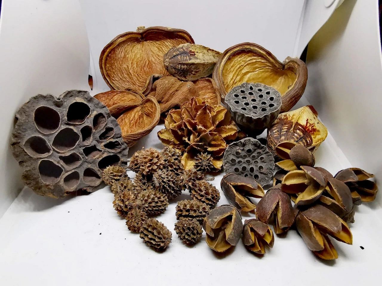 Set of nature products dried fish food 180g with Bakuli, Casuarina, Badam, Arjuna, Lotus, Mahagon and Jacaranda