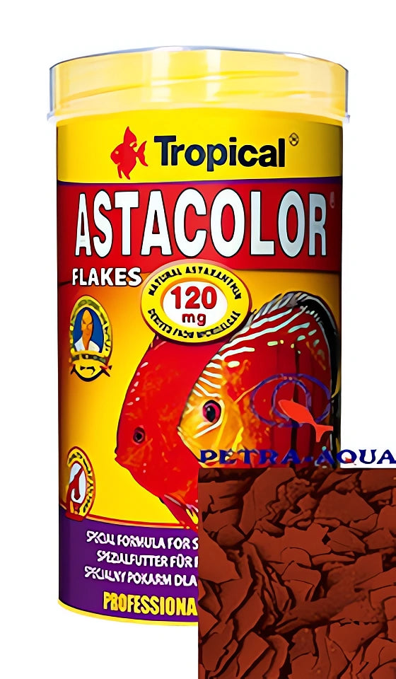 Tropical Astacolor Fish Food for UK Aquariums — tropical fish for sale UK