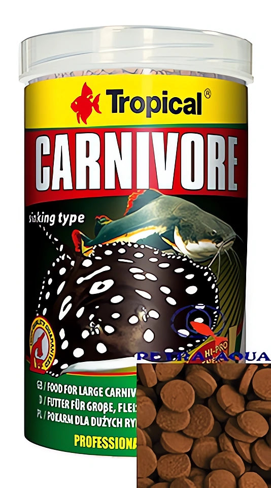 Tropical Carnivore Fish Food for UK Aquarists — tropical fish for sale UK