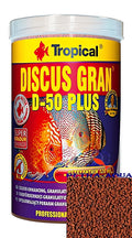 Tropical Discus Gran D 50 Plus for UK Aquarium Enthusiasts — tropical fish for sale UK