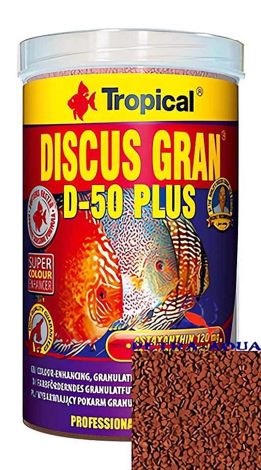 Tropical Discus Gran D 50 Plus for UK Aquarium Enthusiasts — tropical fish for sale UK