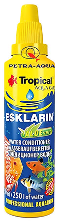 Tropical Esklarin + Aloe Vera Fish for UK Aquariums — tropical fish for sale UK