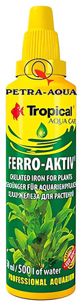 Tropical Ferro Aktiv for Healthy Fish UK — tropical fish for sale UK