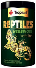  — tropical fish for sale UK
