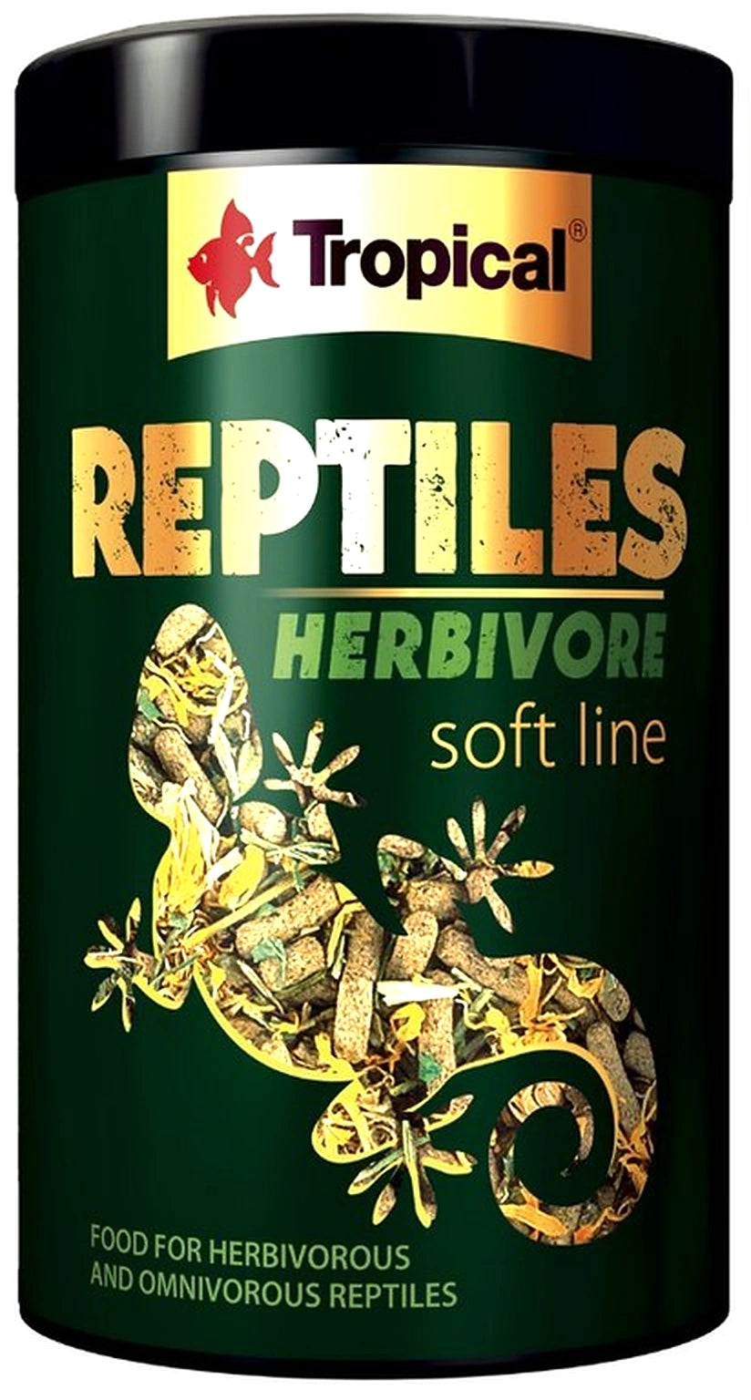  — tropical fish for sale UK