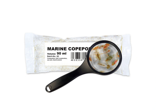90Ml Bags Marine Copepods in Water Aquatic Food — tropical fish for sale UK
