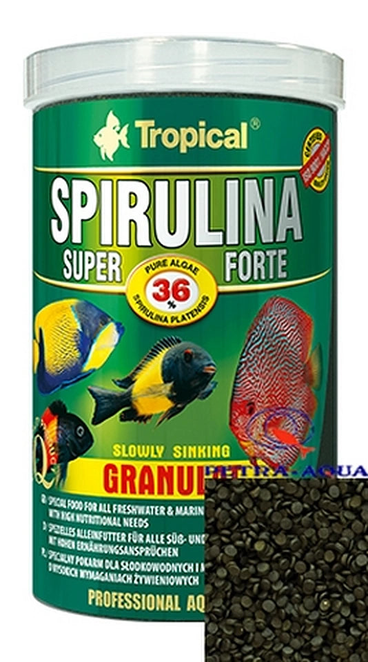  — tropical fish for sale UK