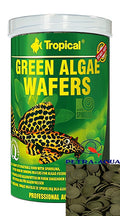 Tropical Green Algae Wafers for Fish - UK — tropical fish for sale UK