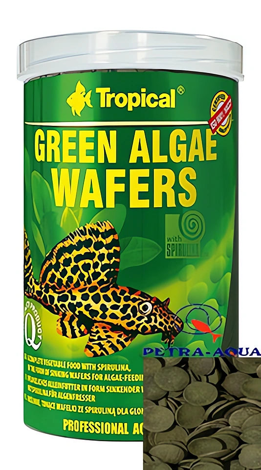 Tropical Green Algae Wafers for Fish - UK — tropical fish for sale UK