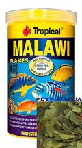 Tropical Malawi Fish for UK Aquarium Enthusiasts — tropical fish for sale UK