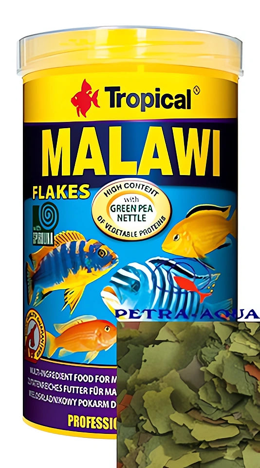 Tropical Malawi Fish for UK Aquarium Enthusiasts — tropical fish for sale UK