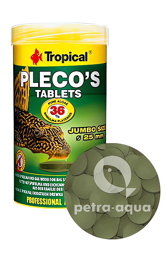Tropical Pleco'S Tablets for Healthy Fish UK — tropical fish for sale UK