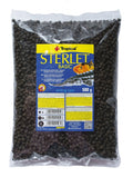 Tropical Sterlet Basic Fish for Aquariums in the UK — tropical fish for sale UK