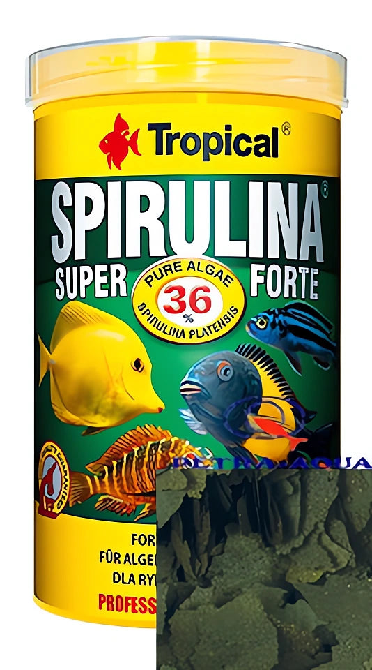 Tropical Super Spirulina Forte 36% for Fish - UK — tropical fish for sale UK