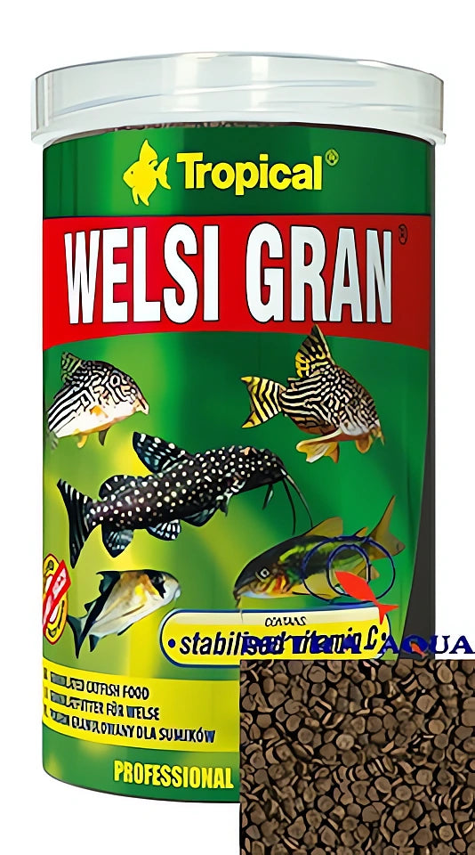 Tropical Welsi Gran Fish Food for UK Aquariums — tropical fish for sale UK