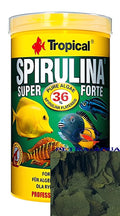 what do plecostomus eat — Dry Food for sale UK